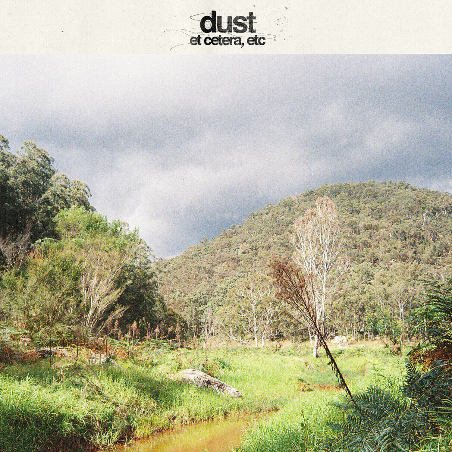 Vinyl Record Dust - Et Cetera, Etc (Green Coloured) (EP)
