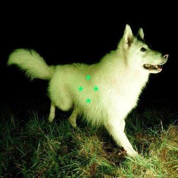 Vinyl Record Real Farmer - Compare What's There (Limited Edition) (LP) - 1