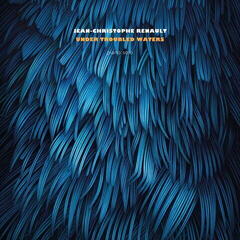 LP ploča Jean-Christophe Renault - Under Troubled Waters (LP)