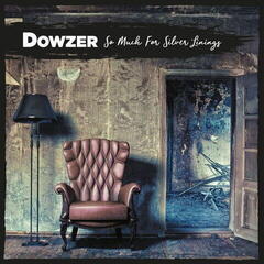 Vinyl Record Dowzer - So Much For Silver Linings (LP)