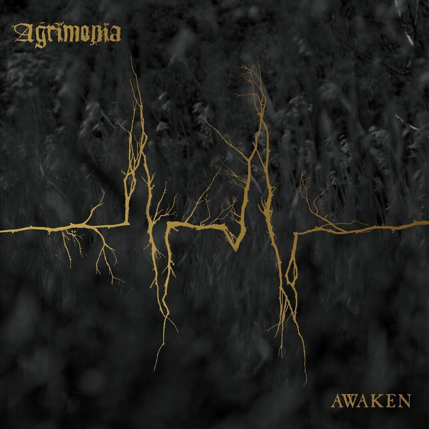 Грамофонна плоча Agrimonia - Awaken (2 LP)