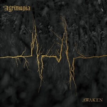 Грамофонна плоча Agrimonia - Awaken (2 LP) - 1