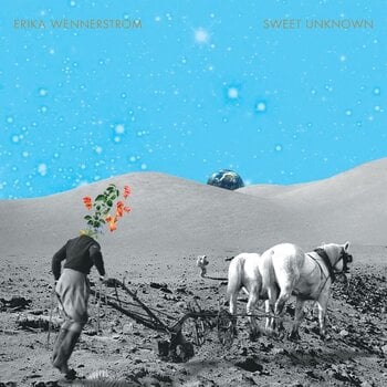 Disque vinyle Erika Wennerstrom - Sweet Unknown (Limited Edition) (White Coloured) (2 LP) - 1