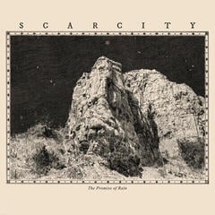 Vinyl Record Scarcity - The Promise Of Rain (LP)