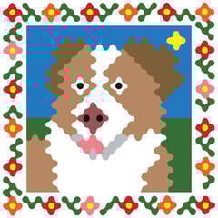 Vinyl Record Dan Rincon - Spotlight City (Limited Edition) (LP)