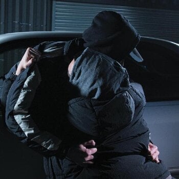 LP ploča Iceboy Violet & Nueen - You Said You'd Hold My Hand Through The Fire (LP) - 1