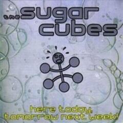 Vinyl Record The Sugarcubes - Here Today, Tomorrow Next Week! (2 LP)