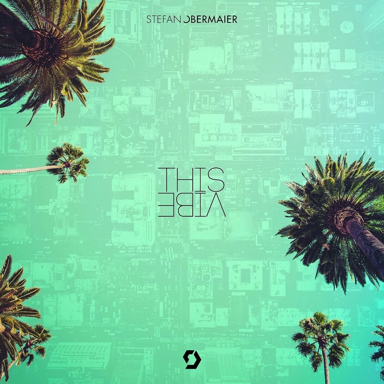 Vinyl Record Stefan Obermaier - This Vibe (2 LP)