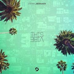 Vinyl Record Stefan Obermaier - This Vibe (2 LP)