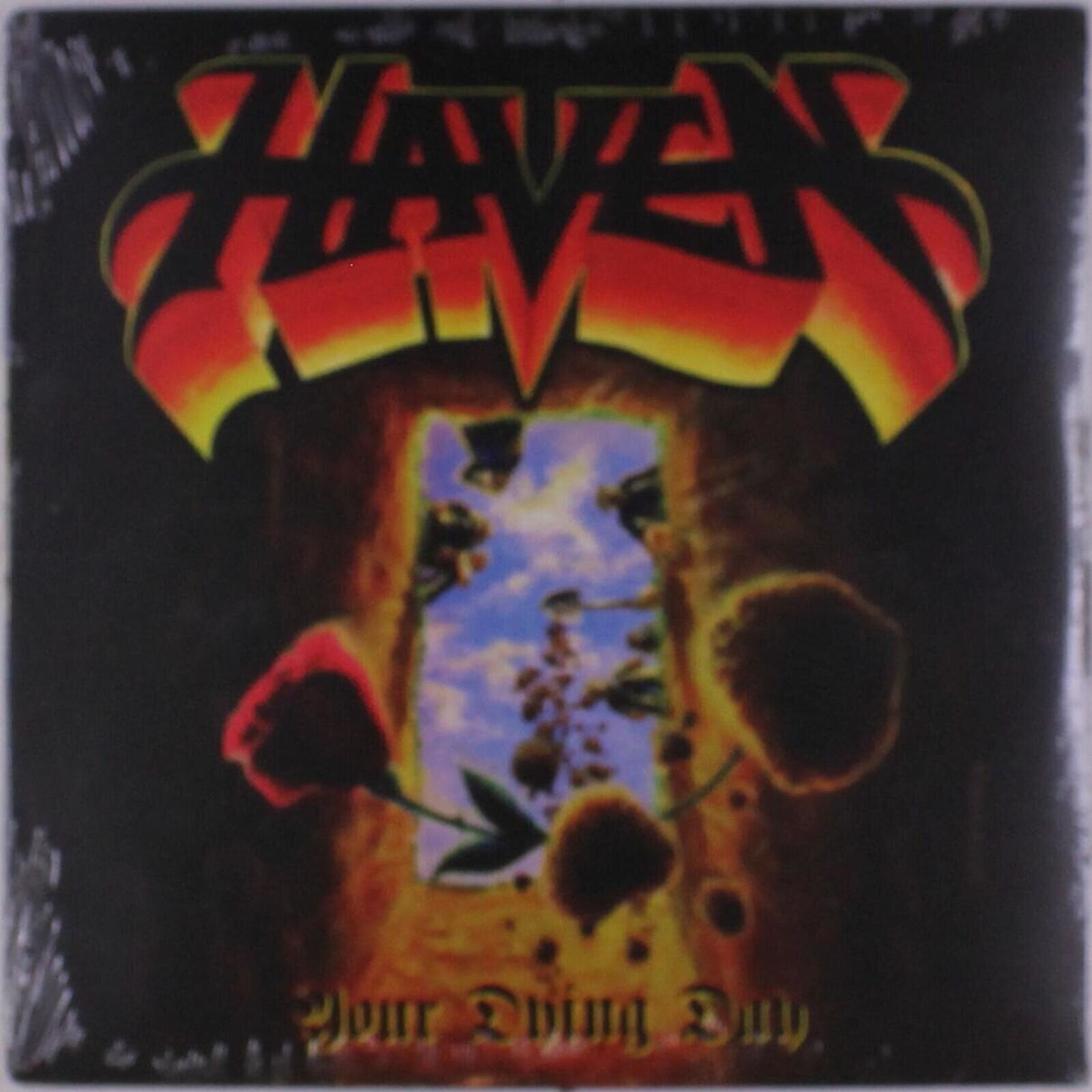 Vinyl Record Haven - Your Dying Day (LP)