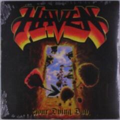Vinyl Record Haven - Your Dying Day (LP)
