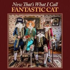 Vinyl Record Fantastic Cat - Now That's What I Call Fantastic Cat (LP)