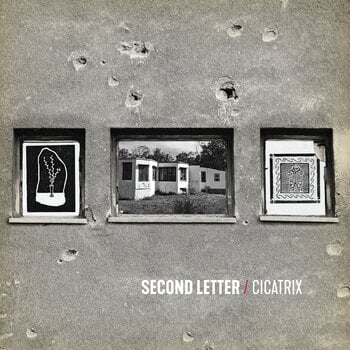 Vinyl Record Second Letter - Cicatrix (LP) - 1