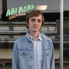 Vinylplate Ari Roar - Calm Down (Green Coloured) (LP)