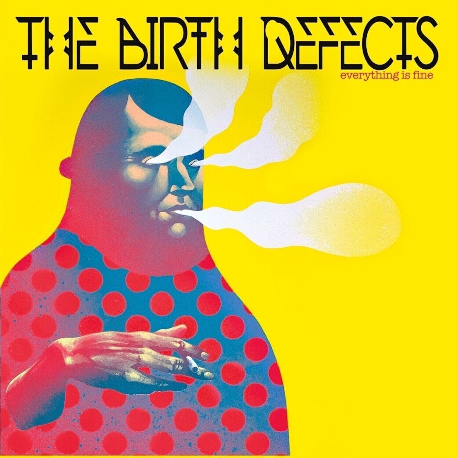 LP ploča The Birth Defects - Everything Is Fine (LP)