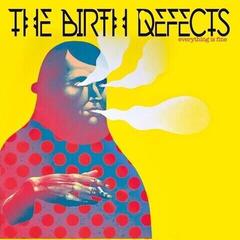 LP ploča The Birth Defects - Everything Is Fine (LP)