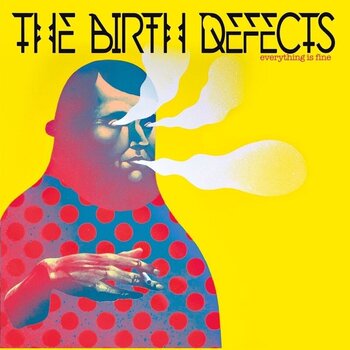 LP ploča The Birth Defects - Everything Is Fine (LP) - 1