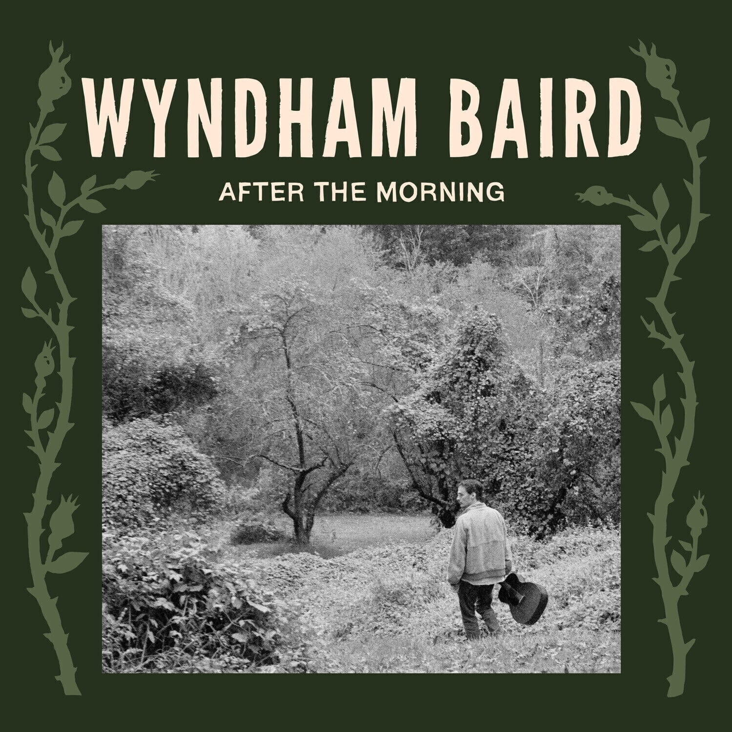 Vinyl Record Wyndham Baird - After The Morning (LP)