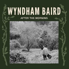 Vinyl Record Wyndham Baird - After The Morning (LP)