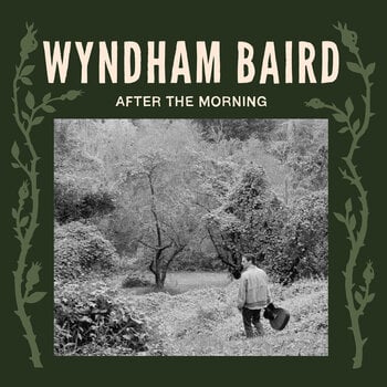 Vinyl Record Wyndham Baird - After The Morning (LP) - 1
