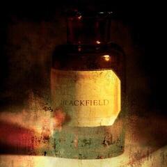 Vinyl Record Blackfield - Blackfield (Limited Edition) (Orange Black Marble Coloured) (LP)