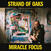 Vinyl Record Strand Of Oaks - Miracle Focus (LP)