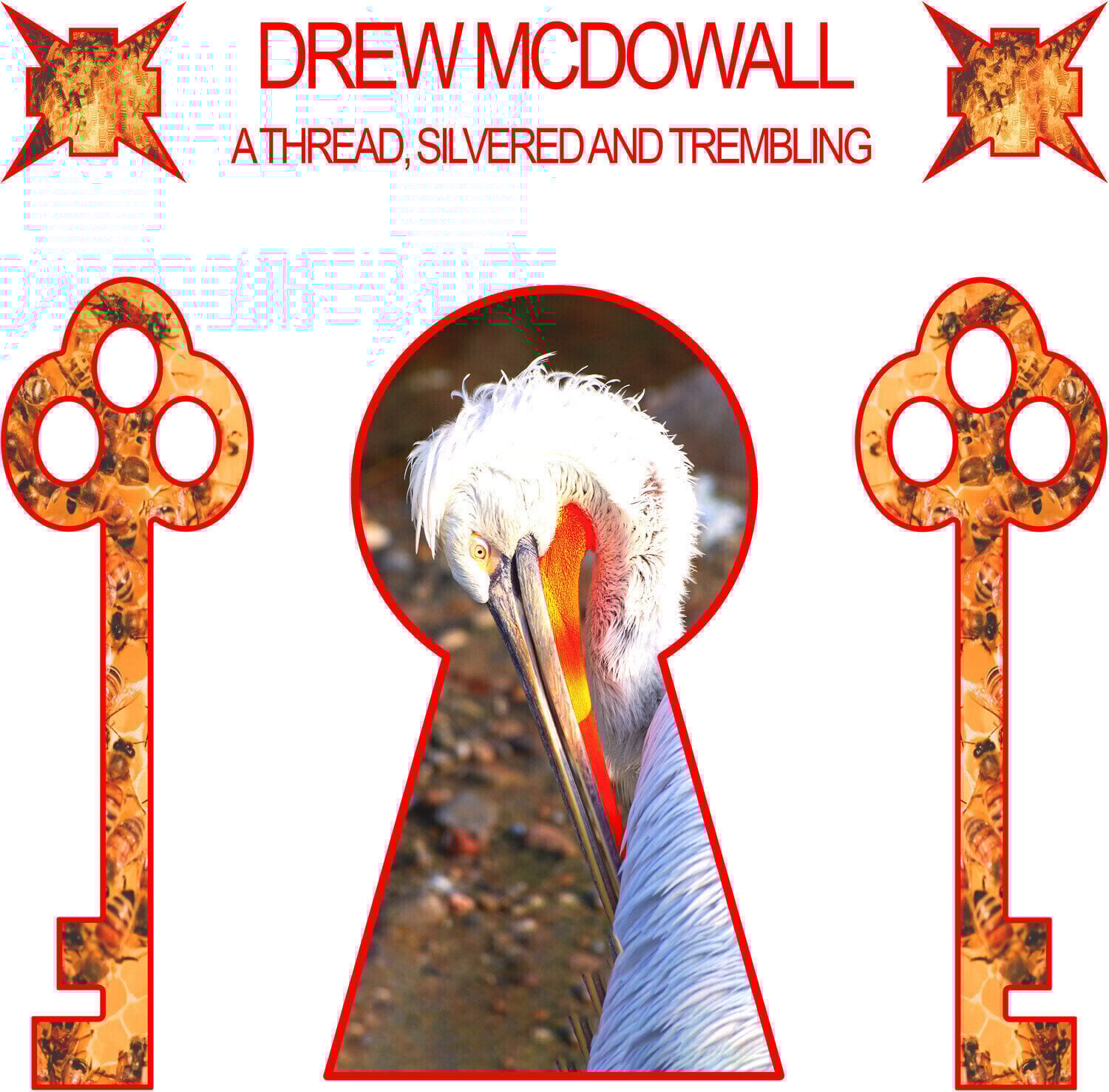 Vinyl Record Drew Mcdowall - A Thread, Silvered And Trembling (Limited Edition) (Red Transparent Coloured) (LP)