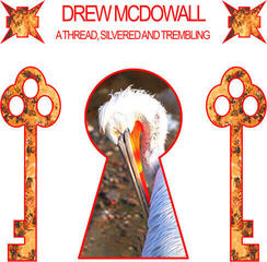 Vinyl Record Drew Mcdowall - A Thread, Silvered And Trembling (Limited Edition) (Red Transparent Coloured) (LP)