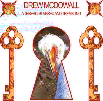 Vinyl Record Drew Mcdowall - A Thread, Silvered And Trembling (Limited Edition) (Red Transparent Coloured) (LP) - 1