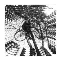 Disque vinyle Euternase - l'Amour (LP)