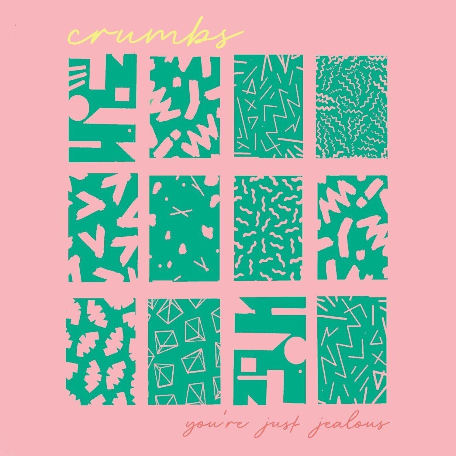 Vinyl Record Crumbs - You're Just Jealous (LP)