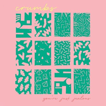 Vinyl Record Crumbs - You're Just Jealous (LP) - 1