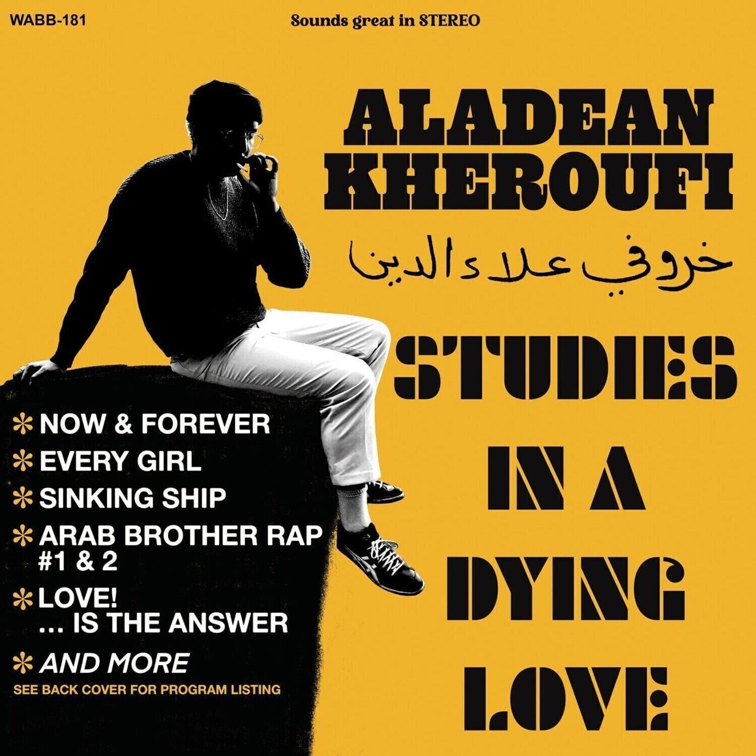 Грамофонна плоча Aladean Kheroufi - Studies In A Dying Love (LP)