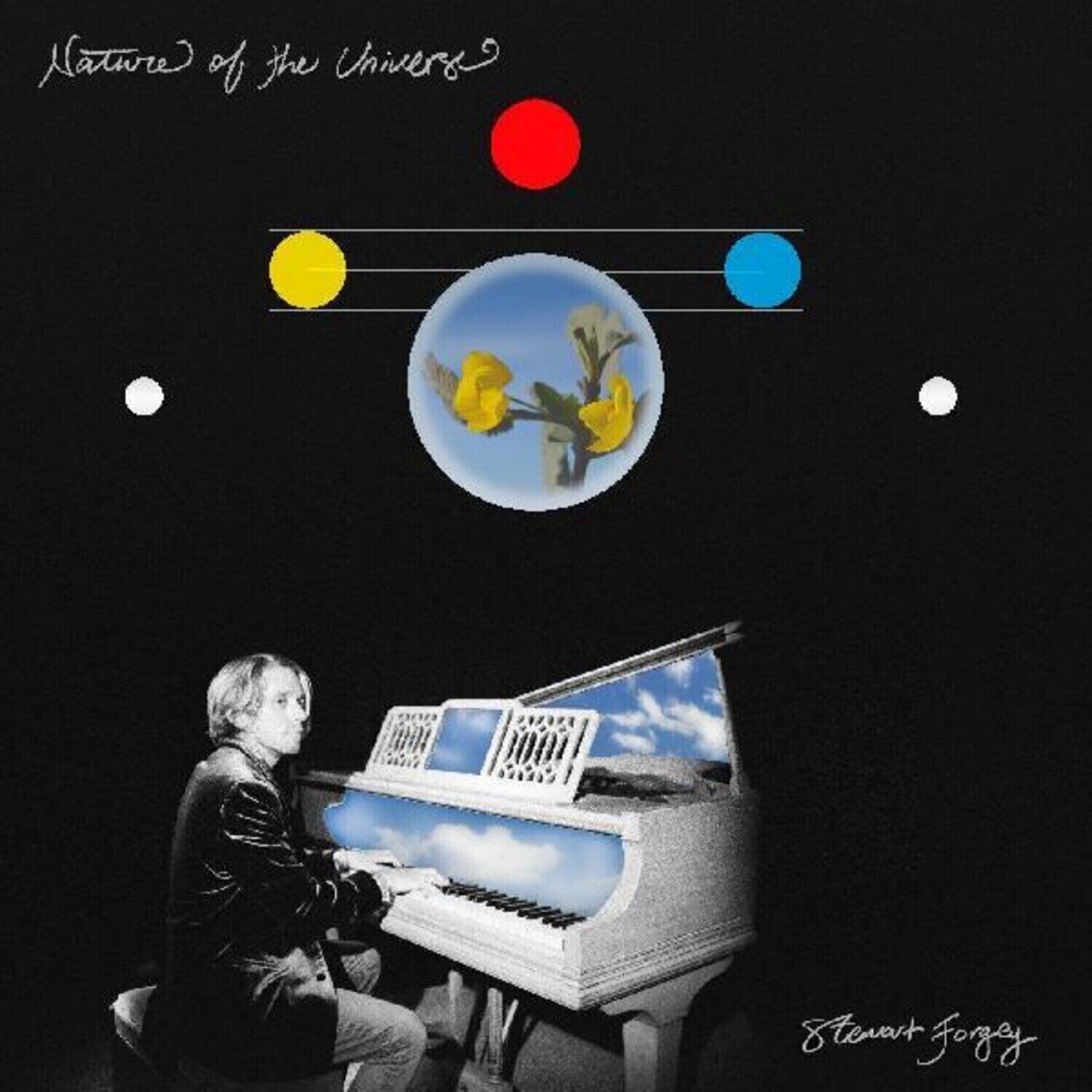 Disco de vinil Stewart Forgey - Nature Of The Universe (Limited Edition) (LP)