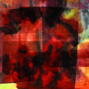 LP ploča Vilhelm Bromander - In This Forever Unfolding Moment (Limited Edition) (Dark Green Coloured) (LP) - 1