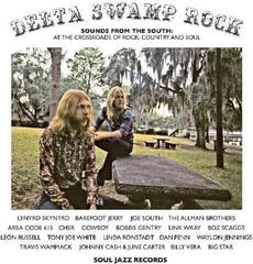 Vinyl Record Various Artists - Delta Swamp Rock (Reissue) (2 LP)