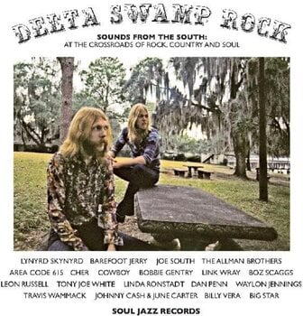 Vinyl Record Various Artists - Delta Swamp Rock (Reissue) (2 LP) - 1
