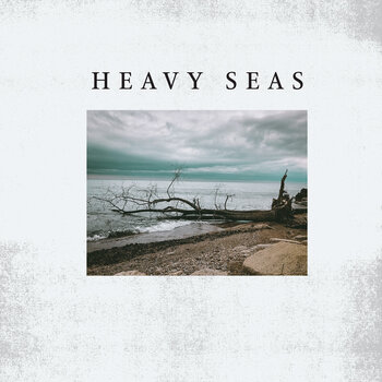 Vinyl Record Heavy Seas - Distortion Days (LP) - 1