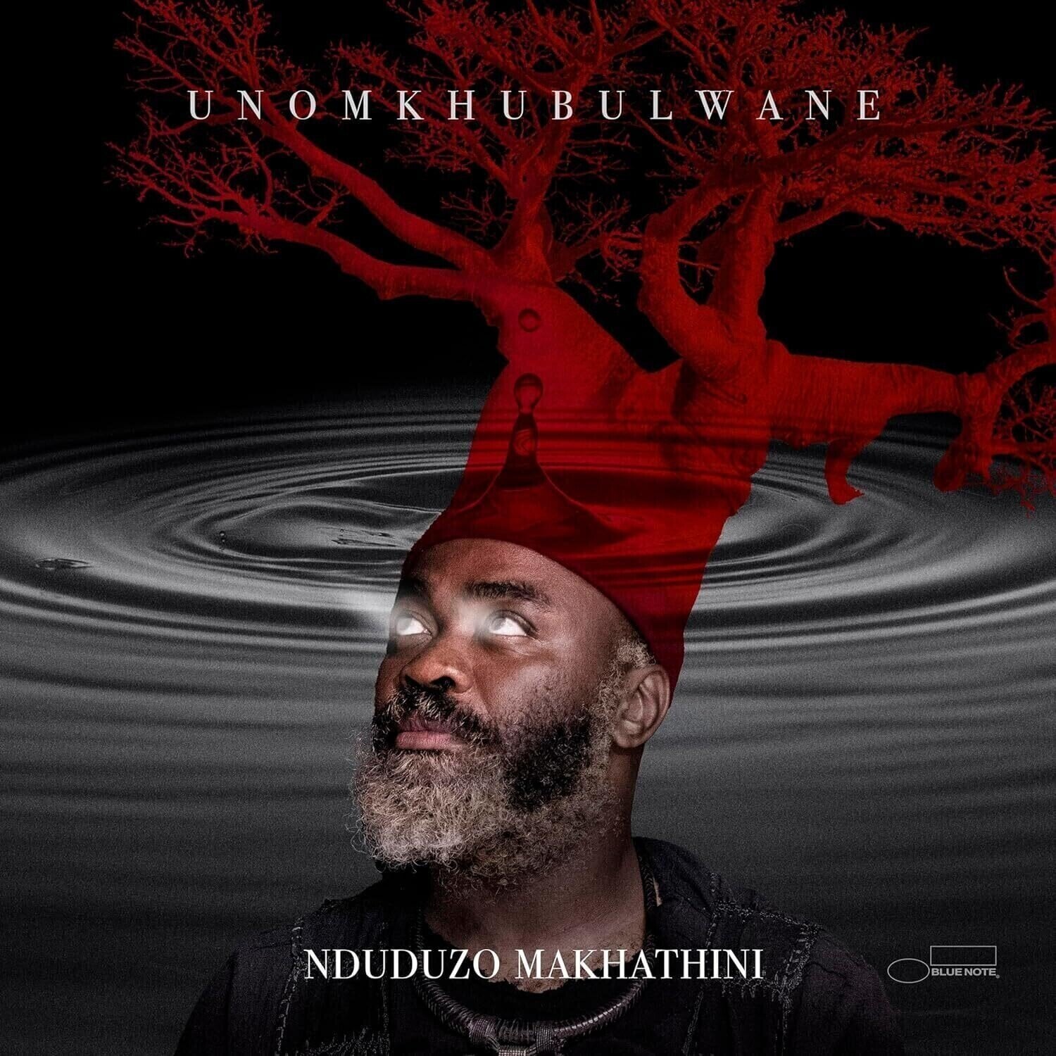 Vinyl Record Nduduzo Makhathini - Unomkhubulwane (2 LP)