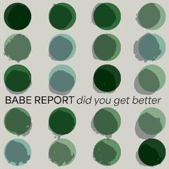 Vinyl Record Babe Report - Did You Get Better (LP)