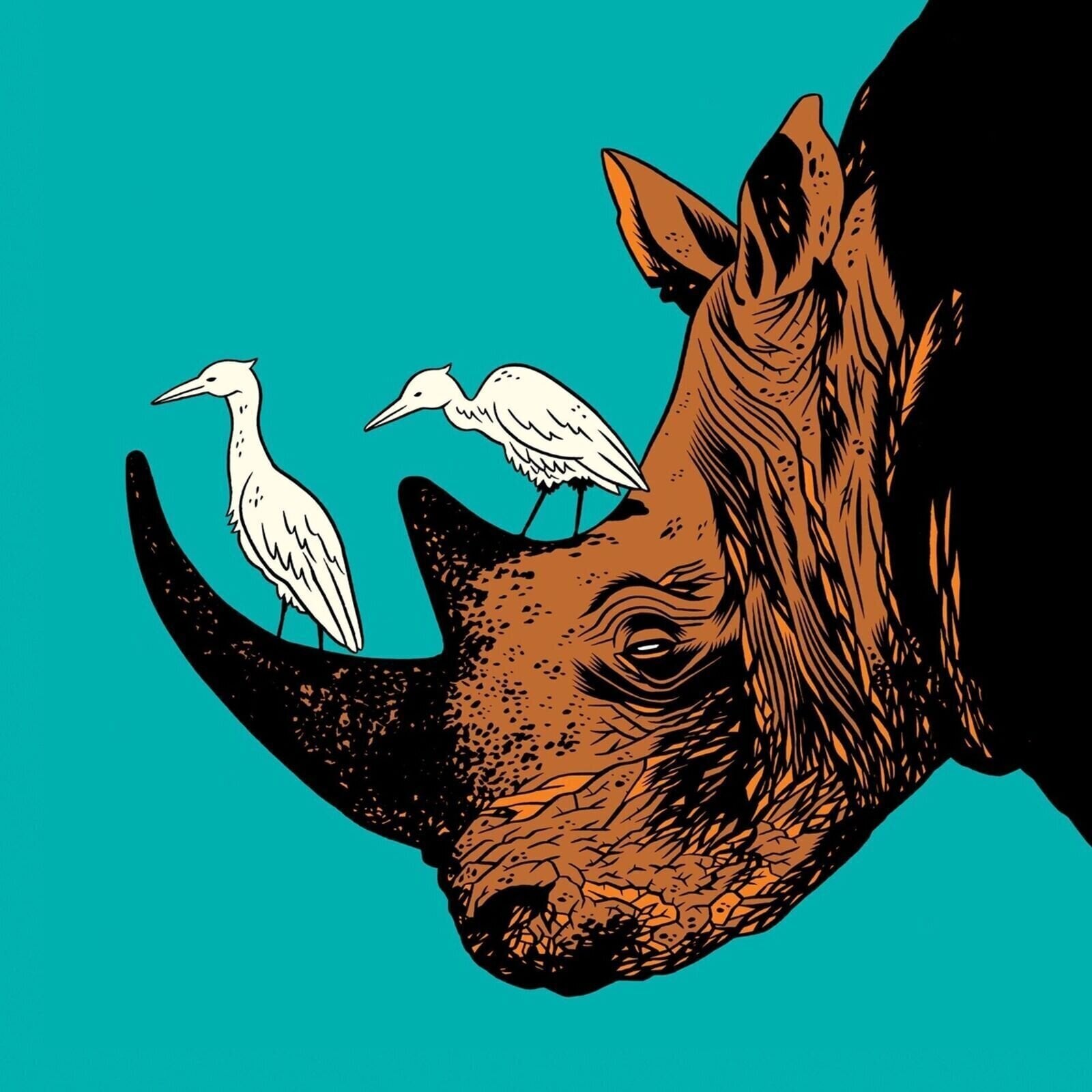 Vinylplade Verb - Symbiose (LP)