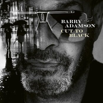 Vinyl Record Barry Adamson - Cut To Black (LP) - 1