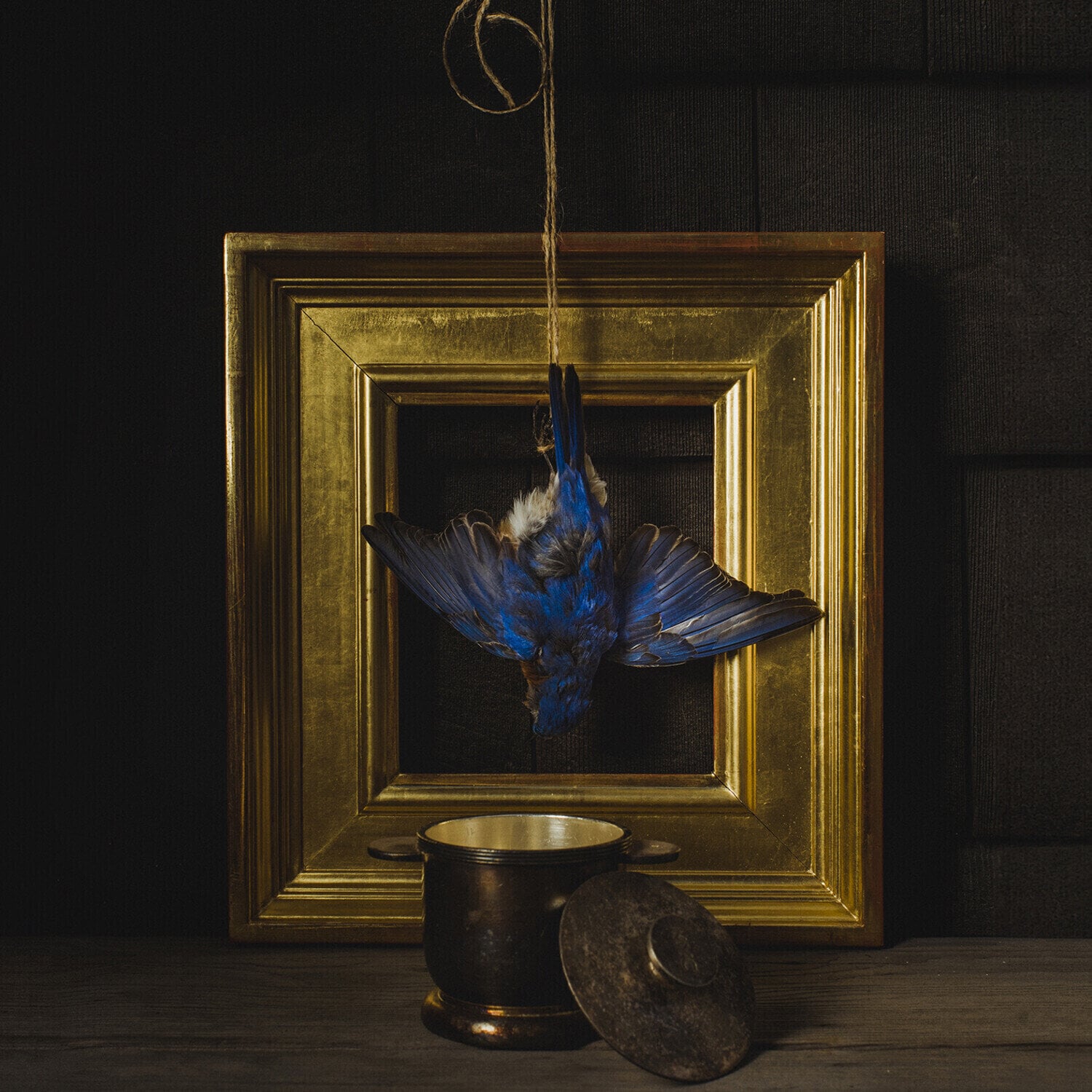 Vinyl Record Claire Dickson - The Beholder (LP)