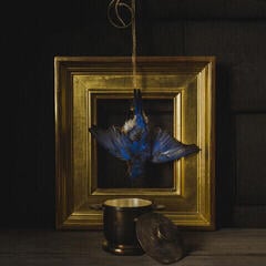 Vinyl Record Claire Dickson - The Beholder (LP)