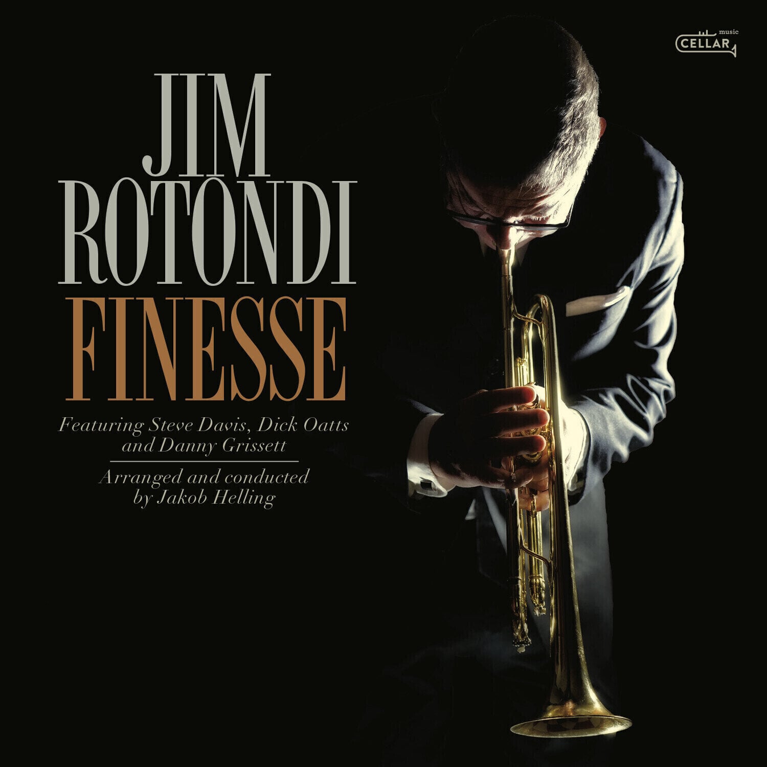 LP plošča Jim Rotondi - Finesse (LP)
