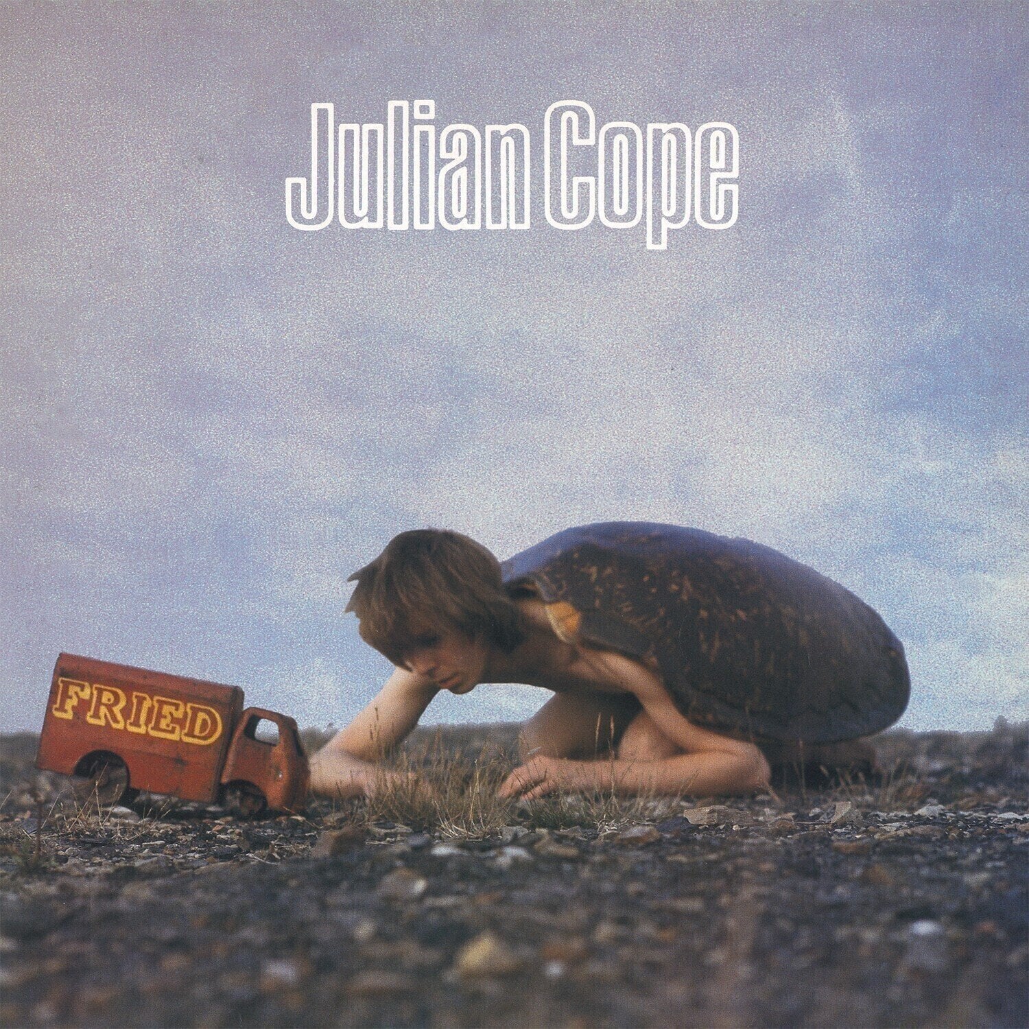 Vinyl Record Julian Cope - Fried (Reissue) (LP)
