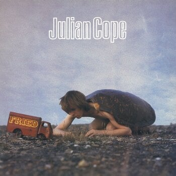 Vinyl Record Julian Cope - Fried (Reissue) (LP) - 1