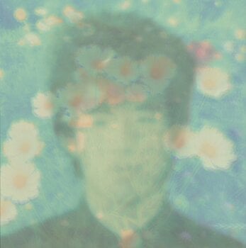 Vinylplade Love Wonderland - The Best Twilights of Love Wonderland (LP) - 1