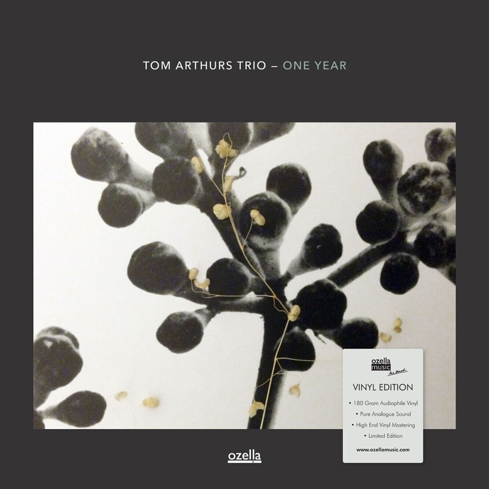 Vinyl Record Tom Arthurs Trio - One Year (Limited Edition) (LP)