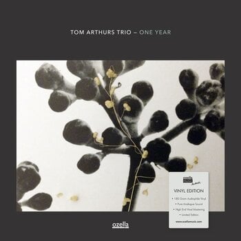 Vinyl Record Tom Arthurs Trio - One Year (Limited Edition) (LP) - 1